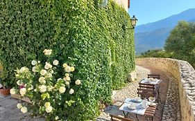 L'Armonica Di Nonnosandro